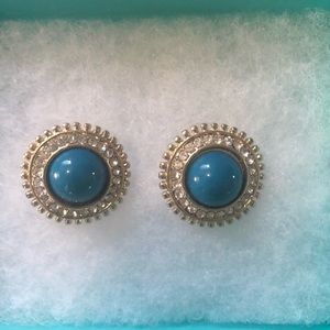 Beautiful Blue with Sparkles Earrings